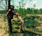 Per Heimly: "IN THE WOODS" Per Heimly: "IN THE WOODS"