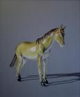 Thomas Nesland Olsen: "HORSE" Thomas Nesland Olsen: "HORSE"